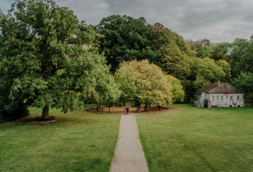 Een idyllische wandeling door het park van Romantik Hotel Gutshaus Ludorf: omringd door oude bomen en groene weiden nodigt de natuur je uit om te ontspannen en tot rust te komen.
