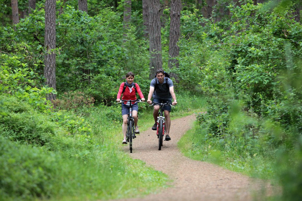 Baaber_Heide-®KV Baabe, © KV Baabe Baaber_Heide-®KV Baabe, © KV Baabe