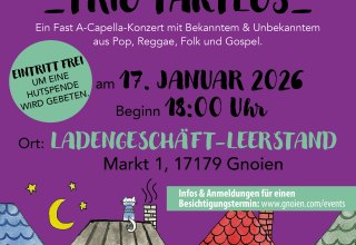 &copy; Warbelstadt Gnoien