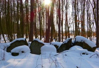 © Archäo Tour Rügen © Archäo Tour Rügen