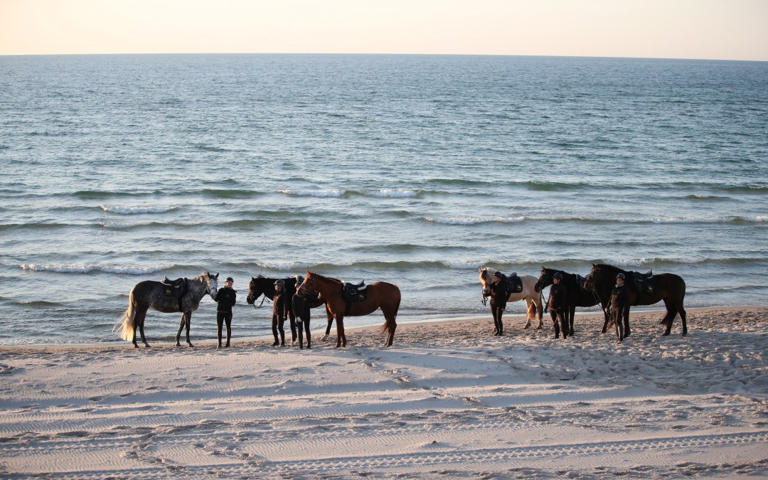 Riding on the beach, © TMV/ACP Pantel