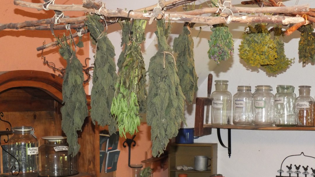 Kruiden worden voorzichtig gedroogd, © M. Hagemann