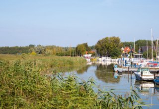 © Arndt Gläser © Arndt Gläser