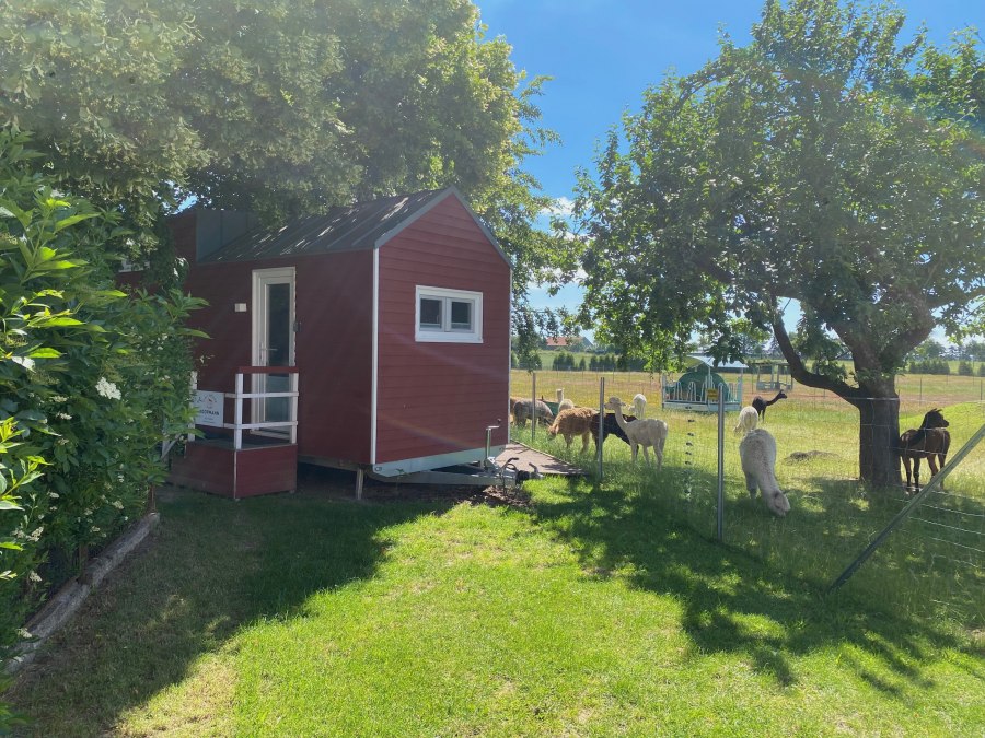 Tiny house with a view of the alpacas, © Alpaka Idylle