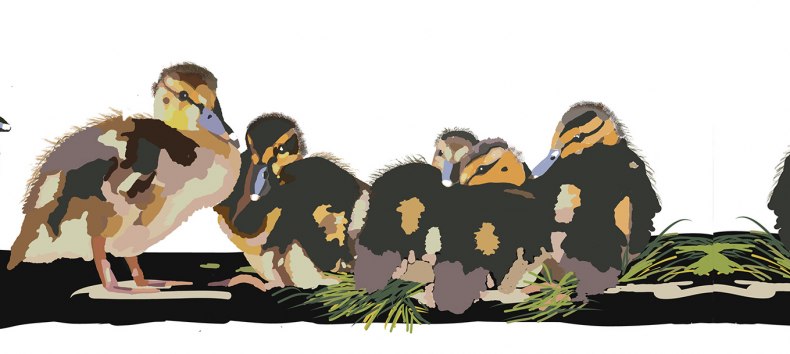 &copy; Maria Charlotte Wulff