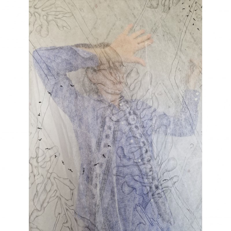 Artist, graphite, ink, thread behind and on transparent fabric, 2025 // &copy; Karen Kunkel