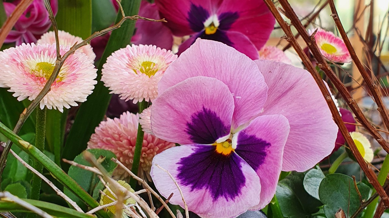 &copy; B&Auml;RENWALD M&uuml;ritz | Manuela Klier