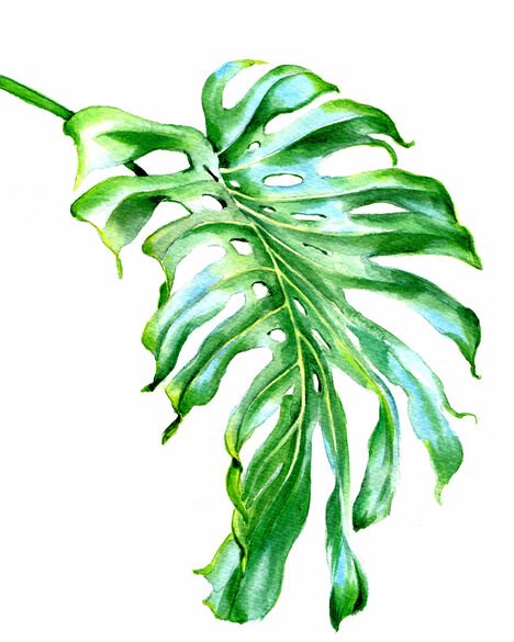 &copy; Jenny Thalheim