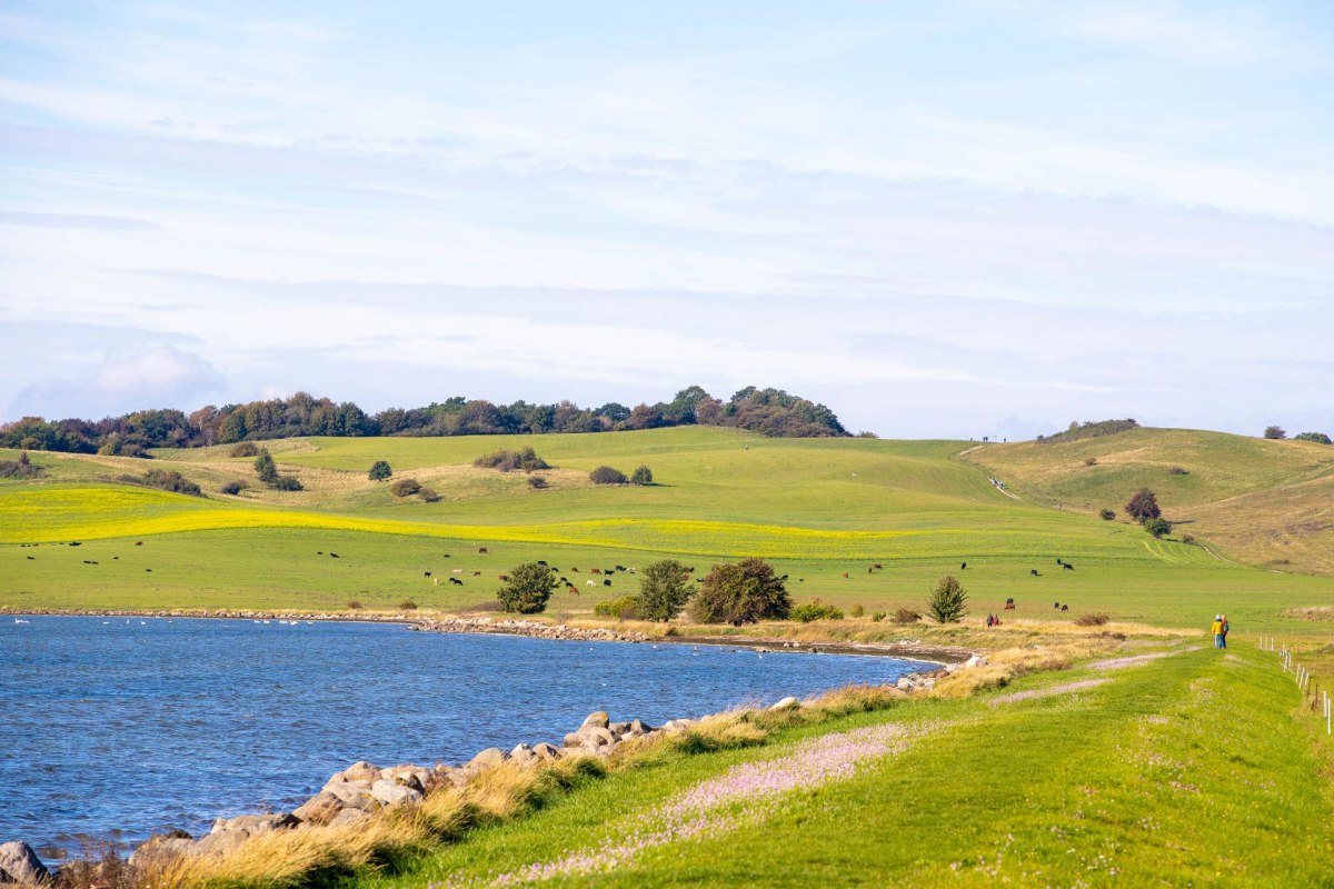 Moenchgut ontdekken lente en herfst (c) Kurverwaltung Goehren Martin Stoever_10-2020_P5I9425, &copy; Kurverwaltung Goehren / Martin Stoever