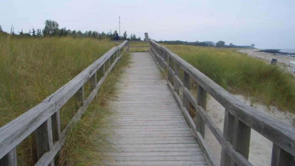 Strandtoegang 4 via een houten steiger in Ahrenshoop, © TV FDZ