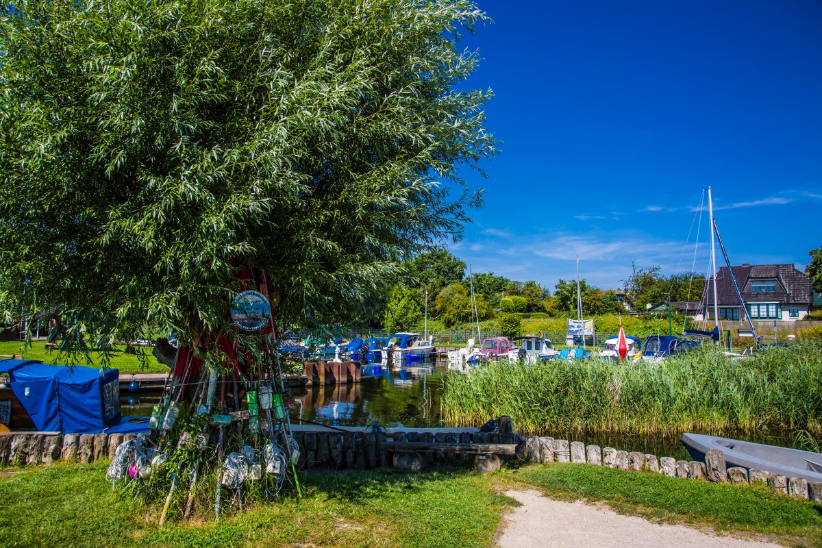 &copy; 20240807-IMG_2598.jpg