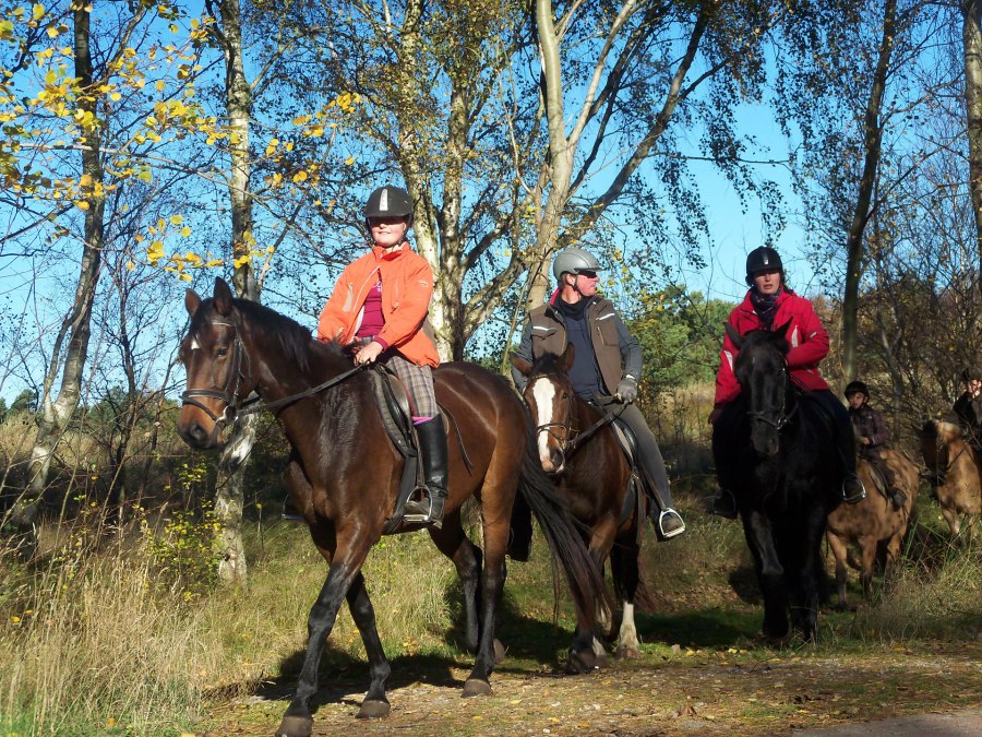 Rider on Hiddensee, © Annett Striesow Rider on Hiddensee, © Annett Striesow