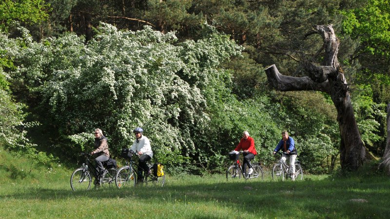 Fietsen in het Nationaal Park Müritz, © Waren (Müritz) Kur- und Tourismus GmbH