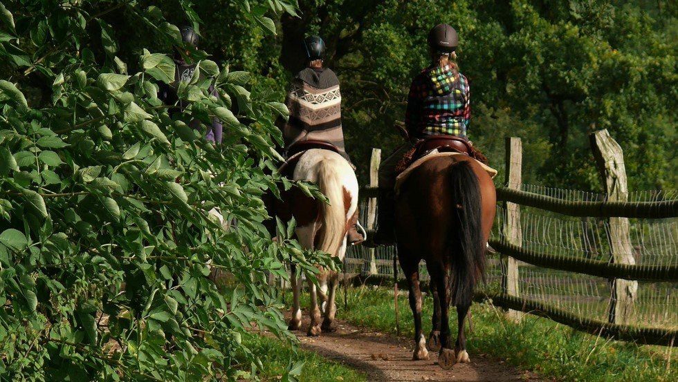 Spędź wakacje z końmi w Mecklenburg ParkLand, © Mecklenburger ParkLand/Feriengut Dalwitz und La Primera