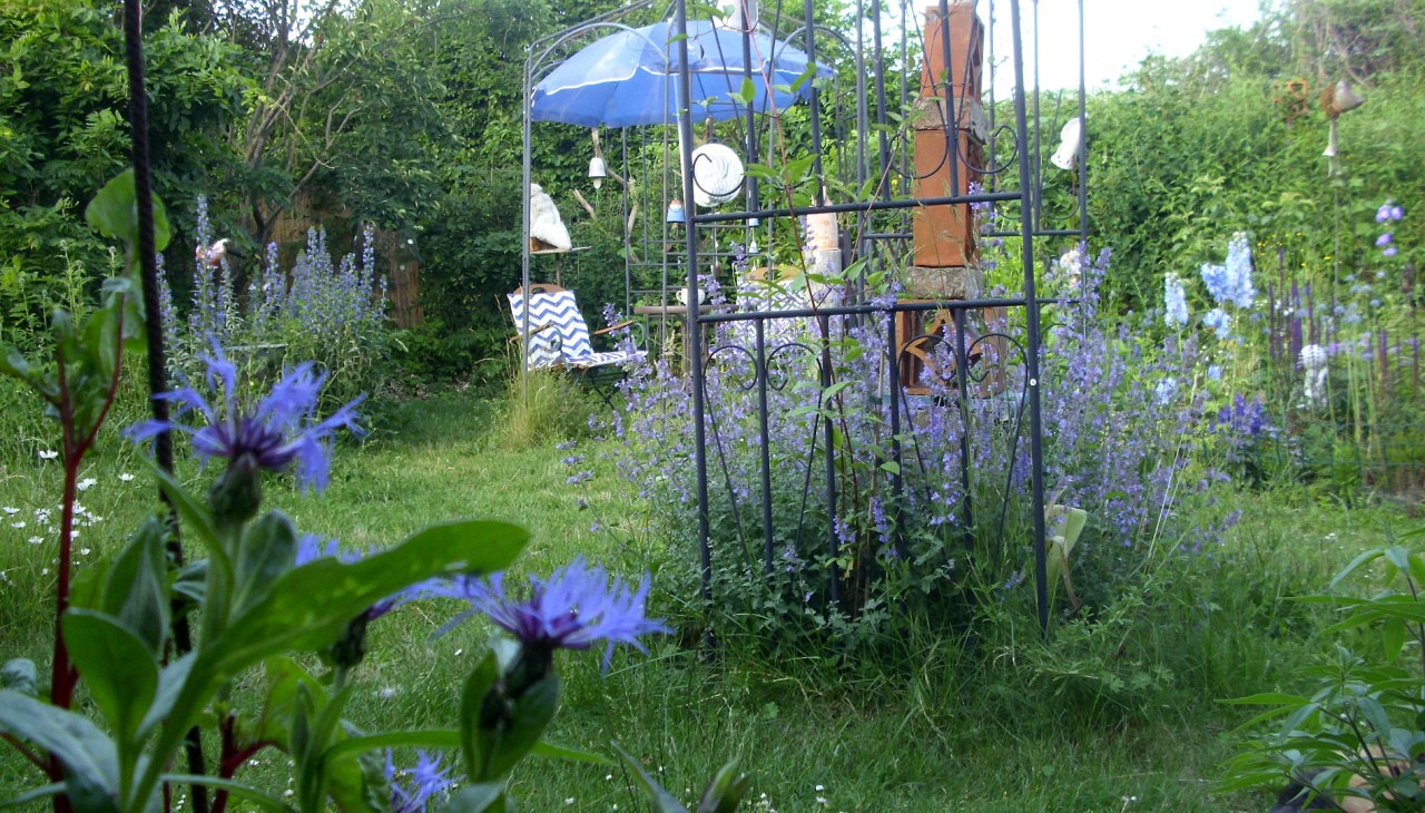 The garden in June 2019, © Anette Schröder
