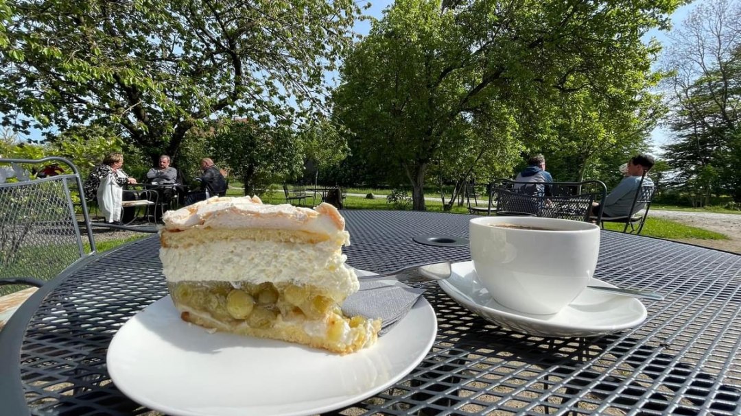 IMG_3628, © TZ Südliche Boddenküste IMG_3628, © TZ Südliche Boddenküste