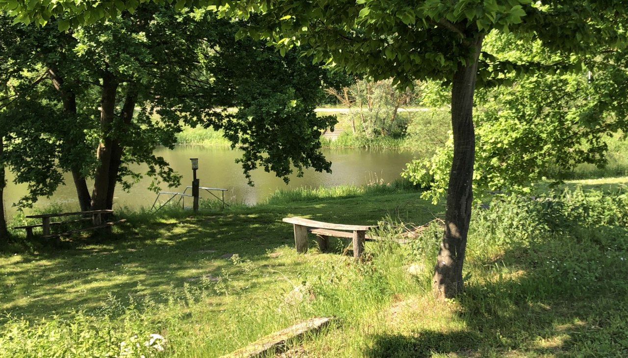 Der M&uuml;hlenteich (s&uuml;dliches Ende des Brohmer Stausees) direkt am Platz, &copy; SG