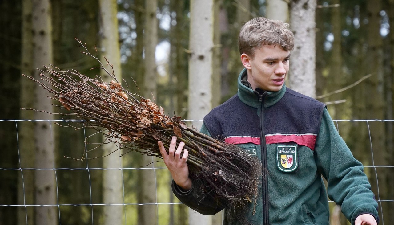 Kampania sadzenia lasu klimatycznego, © Landesforst MV