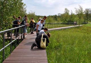 &copy; E. Dornblut, Biosph&auml;renreservatsamt Schaalsee-Elbe