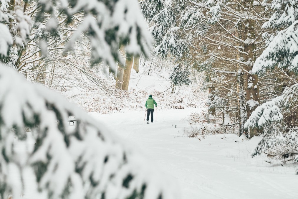 20210209-Winter02-Foto-Burwitz-Pocha, © KV