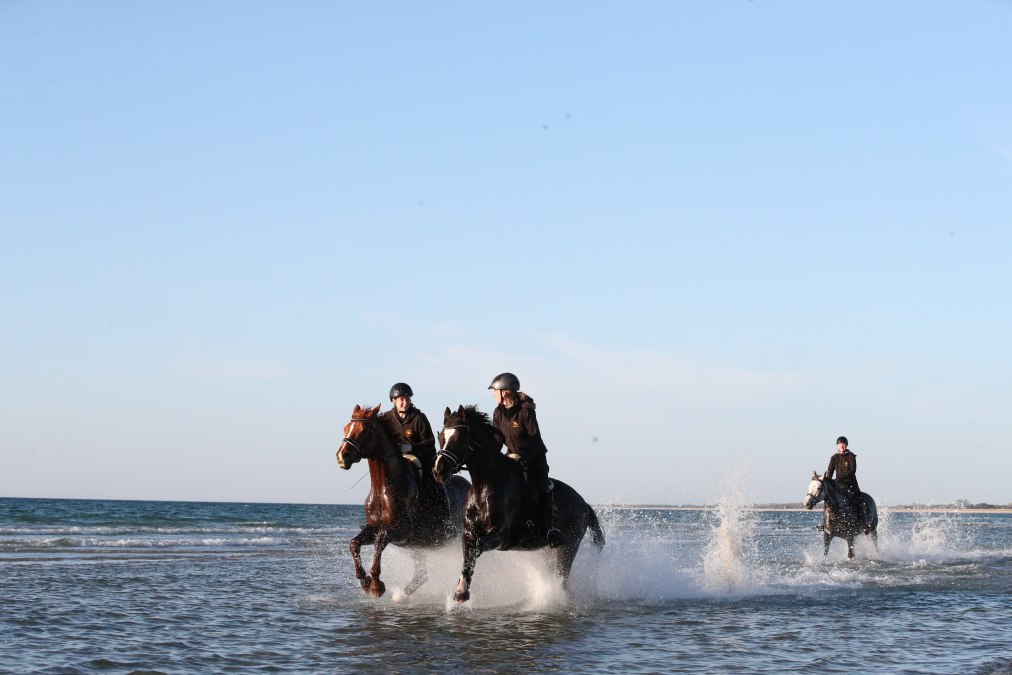 Horse riding on the beach, © TMV/ACP Pantel