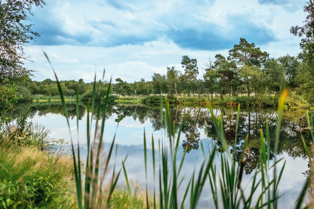 Wędrówka po wrzosowiskach, © Moorwanderung_kl.jpg