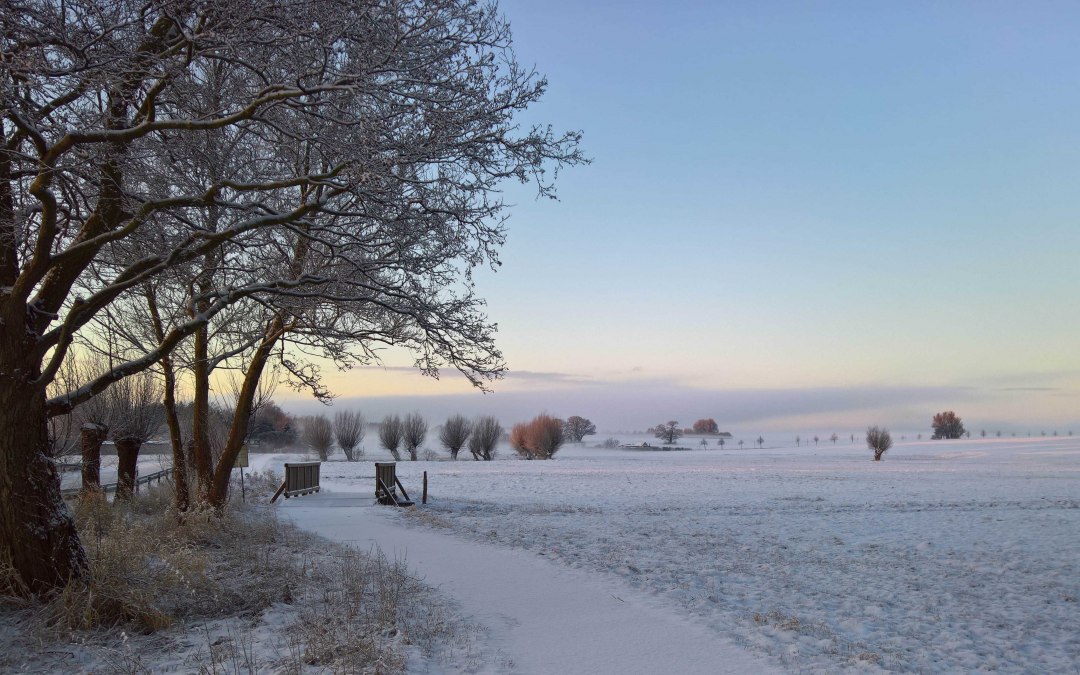 Winter-in-natuurpark_EK, © Evelin Kartheuser