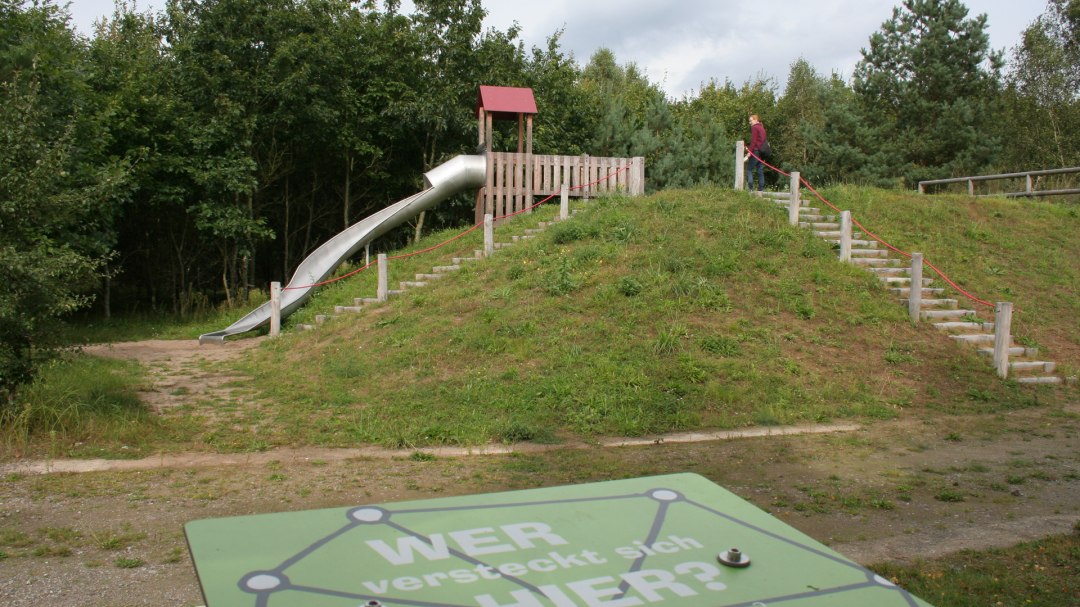 Ścieżka odkrywania bioróżnorodności we wrzosowisku Rostock, © Stadtforstamt Rostock/P. Kuhr Ścieżka odkrywania bioróżnorodności we wrzosowisku Rostock, © Stadtforstamt Rostock/P. Kuhr