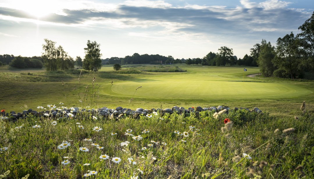 Het Mecklenburgse merengebied en de golfbaan Fleesensee