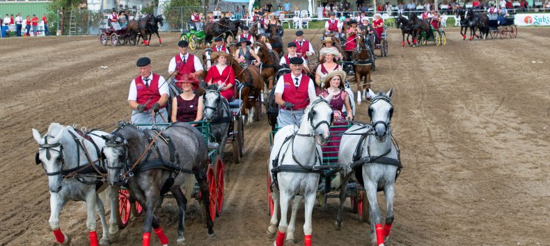 &copy; Gest&uuml;t Ganschow