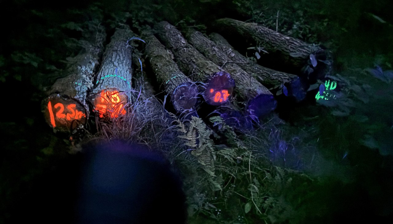 26-05-08 In a different light 2, GMZ, &copy; C