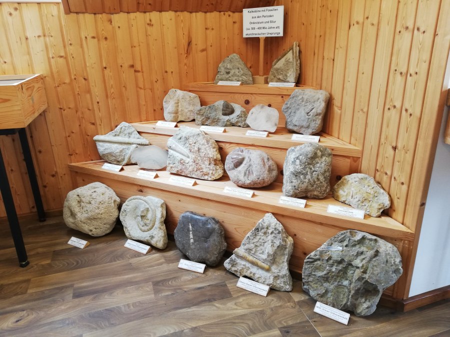 TMV/IMG_20220601_142835, &copy; Gemeinde Schwarz