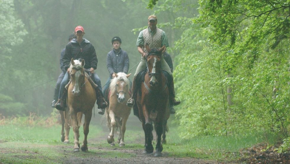 Spacer, kłus czy galop - wszystko jest możliwe na 60 kilometrach szlaków jeździeckich we wrzosowisku Rostock. // © Reitstall Stuthof Spacer, kłus czy galop - wszystko jest możliwe na 60 kilometrach szlaków jeździeckich we wrzosowisku Rostock. // © Reitstall Stuthof