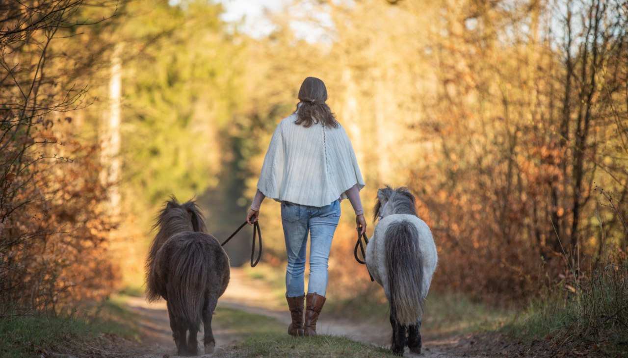 Walk with ponies, &copy; Anniemal Fotografie