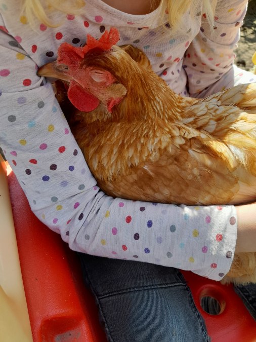 Experience the contact with our very human-oriented animal roommates., © Andrea Hauser