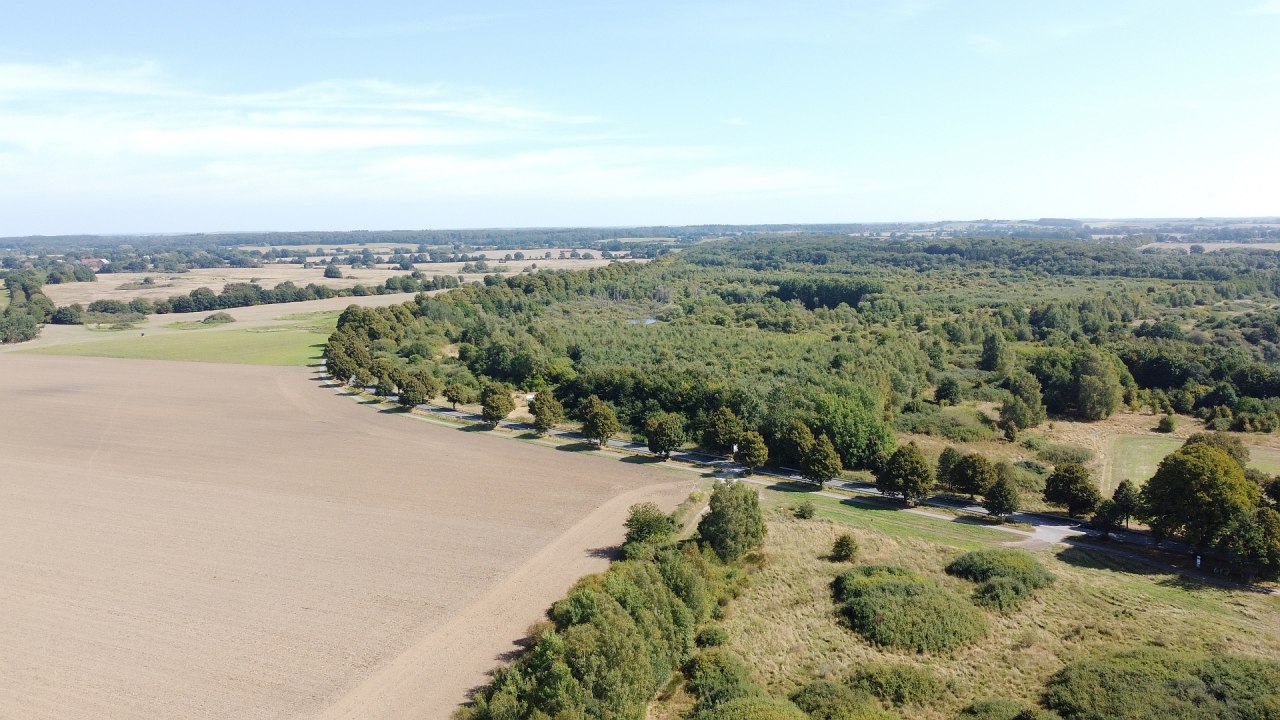 Klimatyczny leśny rezerwat biosfery Schaalsee // © Landesforst MV Klimatyczny leśny rezerwat biosfery Schaalsee // © Landesforst MV