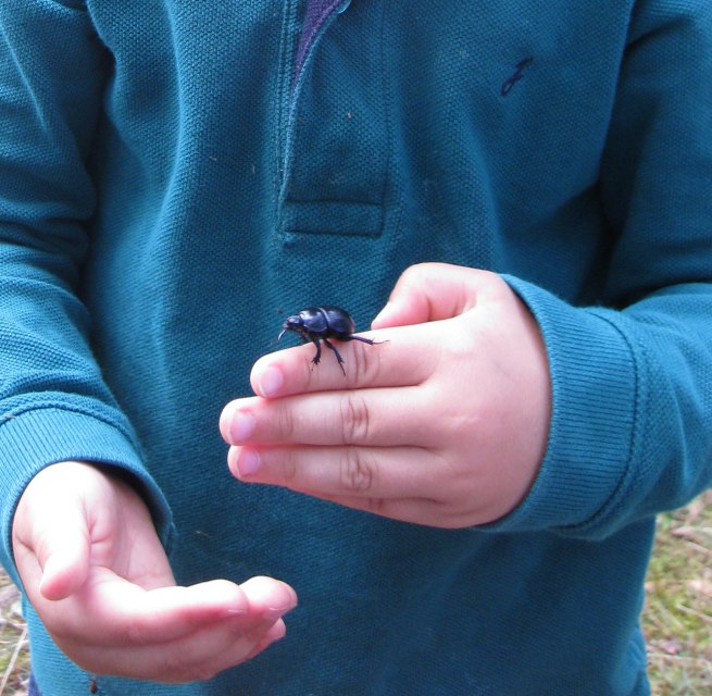 &copy; NPA M&uuml;ritz