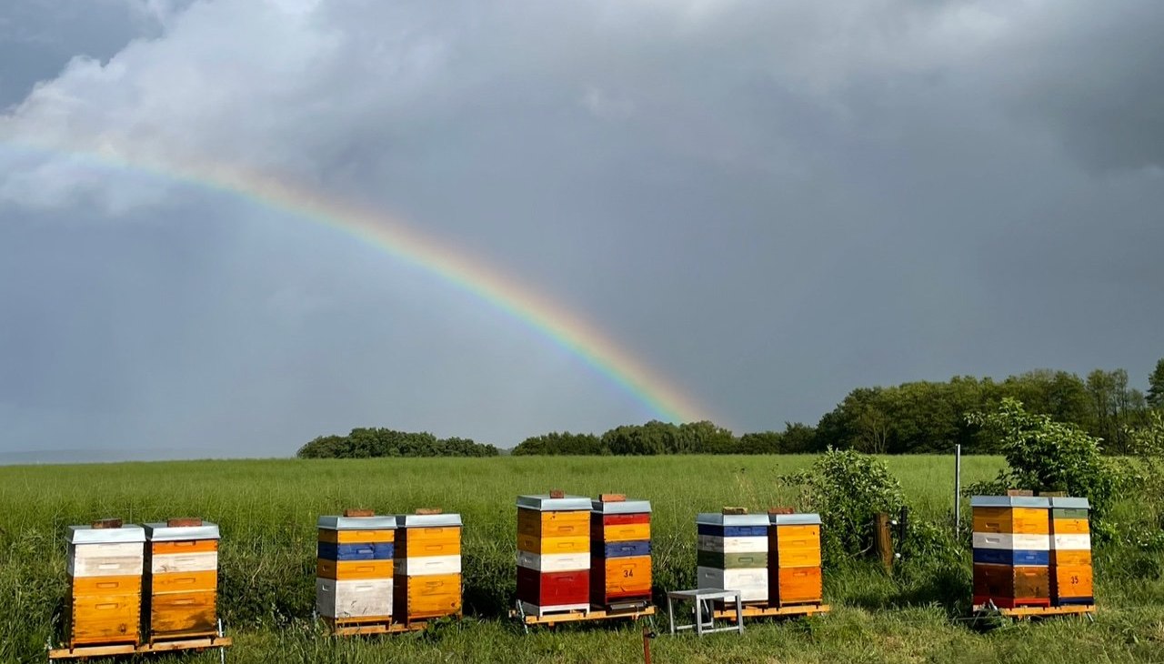 Atmosfera burzy nad rzeką Peene, © Peter Wittenberg