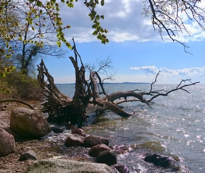 Station 10: Besinnung an den Wassereichen // &copy; TMV/UB