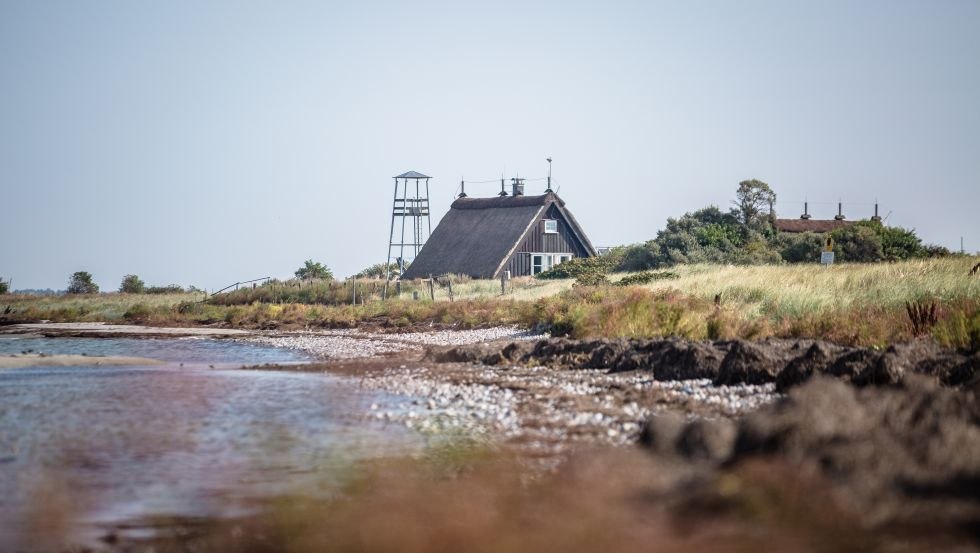 Vogeleiland Langenwerder bij Poel, &copy; Liene Photografie Nadine Sorgenfried