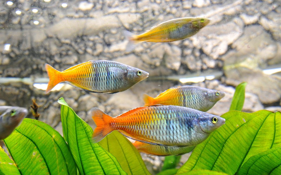 Overleg met dierverzorgers in het aquarium, © Zoo Rostock/Kloock