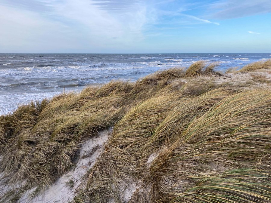 Wycieczka_dynamiczna_KB&auml;rwald, &copy; Nationalpark Vorpommern/ K.B&auml;rwald