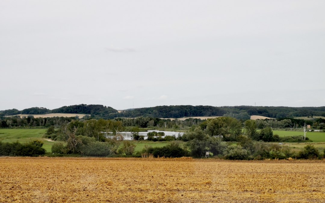 View of renaturalized moor near Dahmer Kanal, © E-Bike MV
