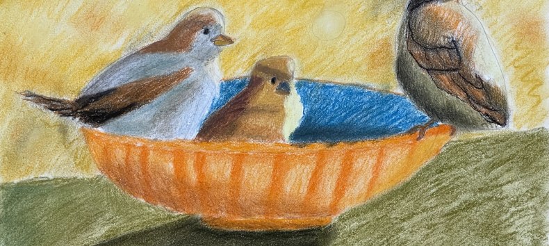 Pastel drawing // © Ute Laux Pastel drawing // © Ute Laux