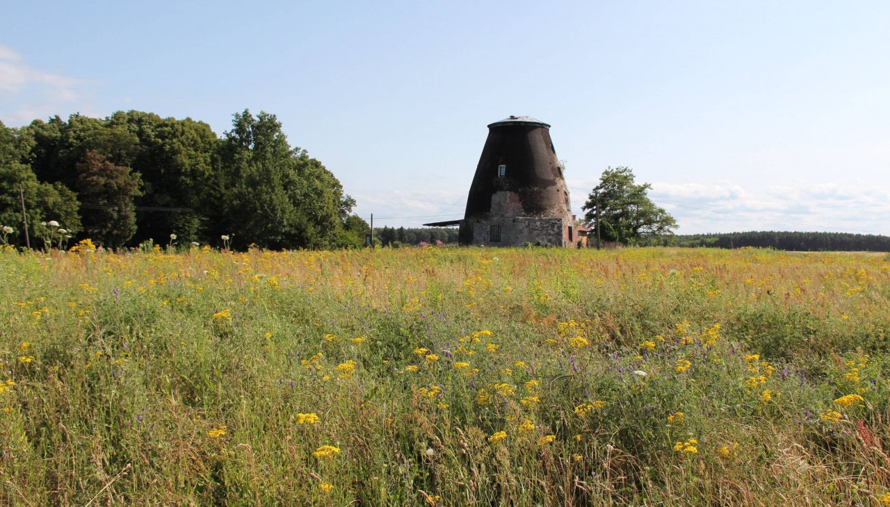 Wiatrak holenderski, © Pomorze Zachodnie