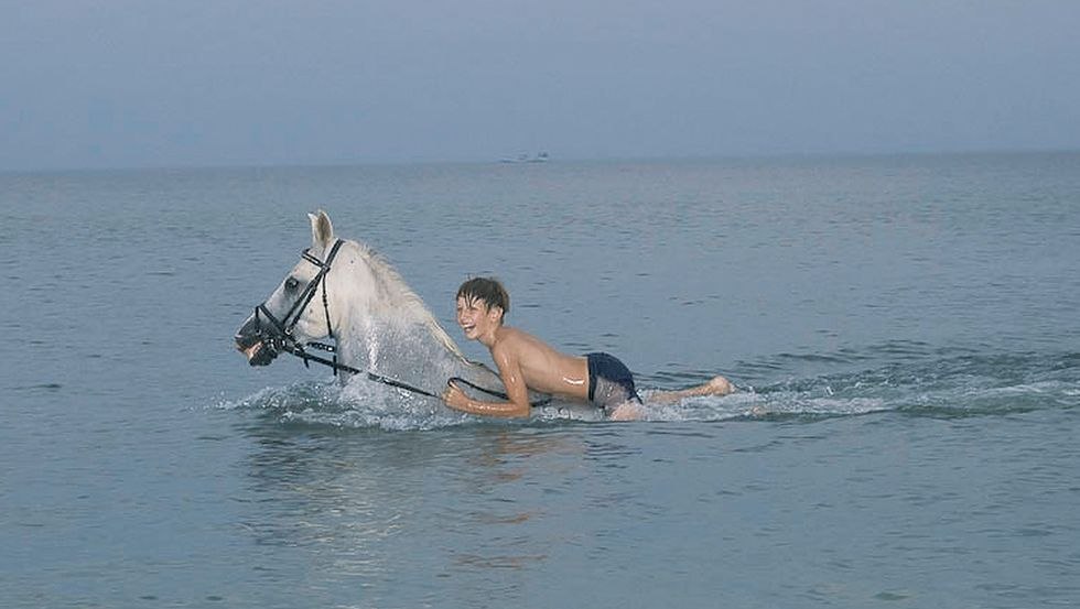 Zwemmen met je paard in koel water is de droom van veel ruiters - hier komt het uit! // &copy; Reitstall Stuthof