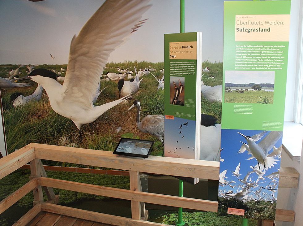 img_8956_s_macke_980x735, © Stephan Macke img_8956_s_macke_980x735, © Stephan Macke