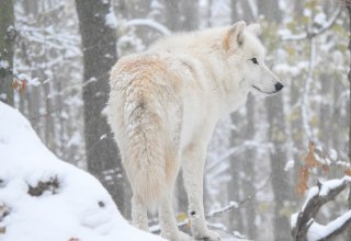 &copy; Hansestadt Stralsund