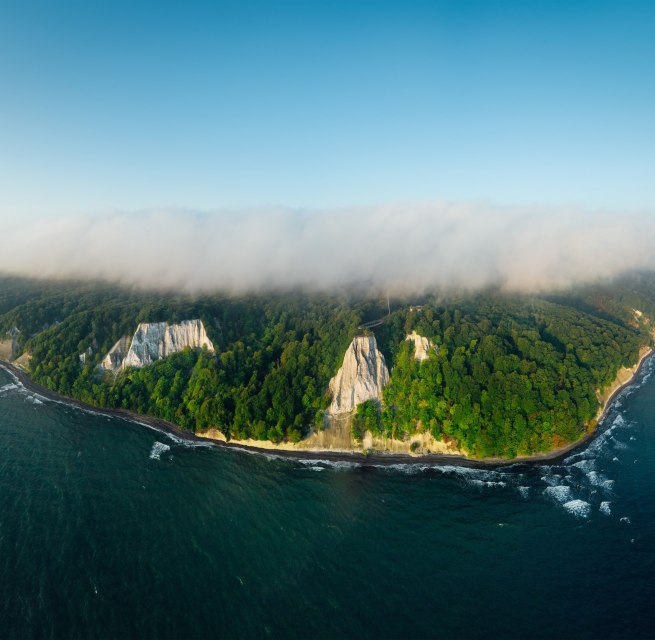 A stunning cliffside landscape with white chalk cliffs, densely forested slopes, and the sea in the foreground. // © Nationalpark-Zentrum KÖNIGSSTUHL / Dan Petermann A stunning cliffside landscape with white chalk cliffs, densely forested slopes, and the sea in the foreground. // © Nationalpark-Zentrum KÖNIGSSTUHL / Dan Petermann
