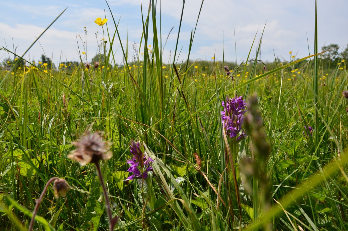 &copy; Kurverwaltung FSL